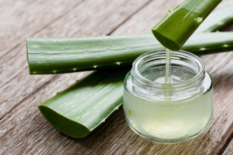 Does Aloe Vera Help Your Hair Grow? Unveiling the Truth and Benefits