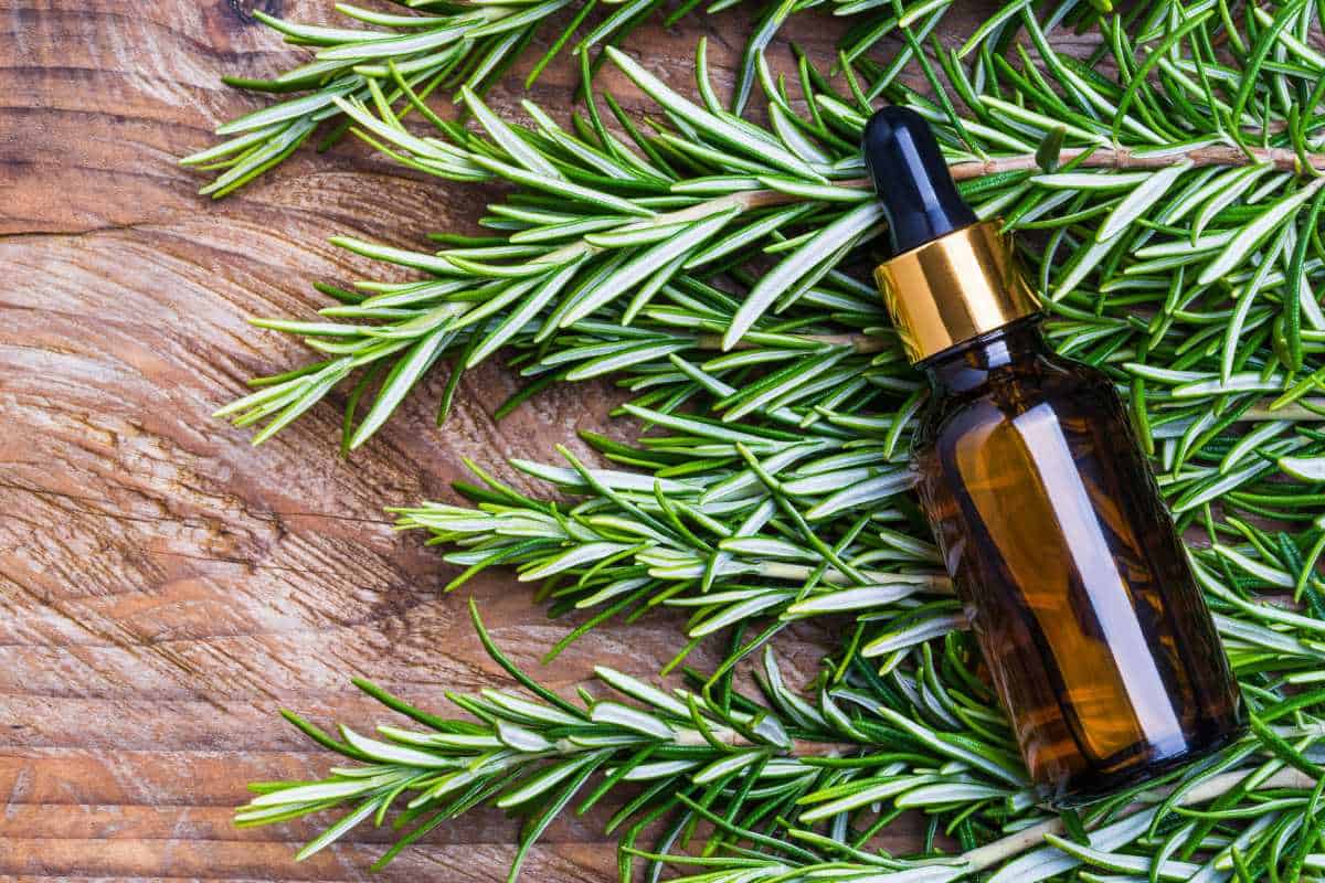 Does Rosemary Oil Make Your Hair Grow