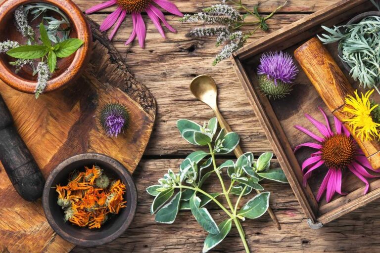 Which Herb Is Superfood? Uncover the Top 8 Superfood Herbs for Optimal Health