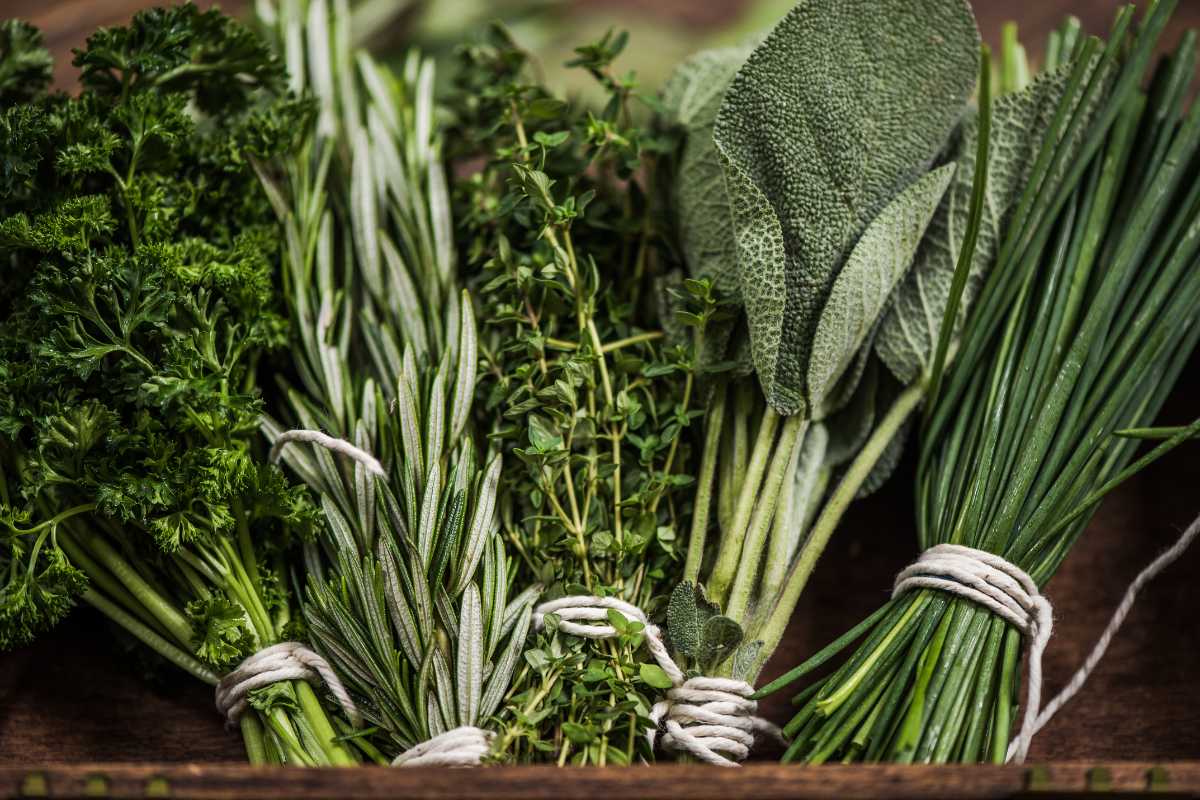 best herbs to grow together